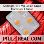 Kamagra 100 Mg Gelée Orale Comment Utiliser 24
